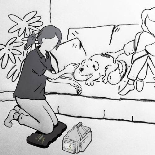 Dignipets Partners to Showcase Compassion-Driven End-of-Life Pet Care at London Vet Show 2025