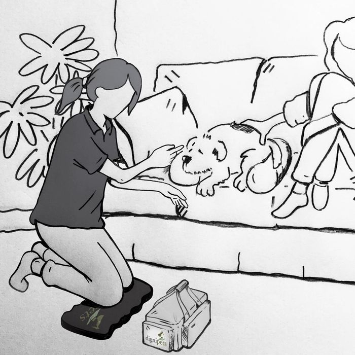 Dignipets Partners to Showcase Compassion-Driven End-of-Life Pet Care at London Vet Show 2025