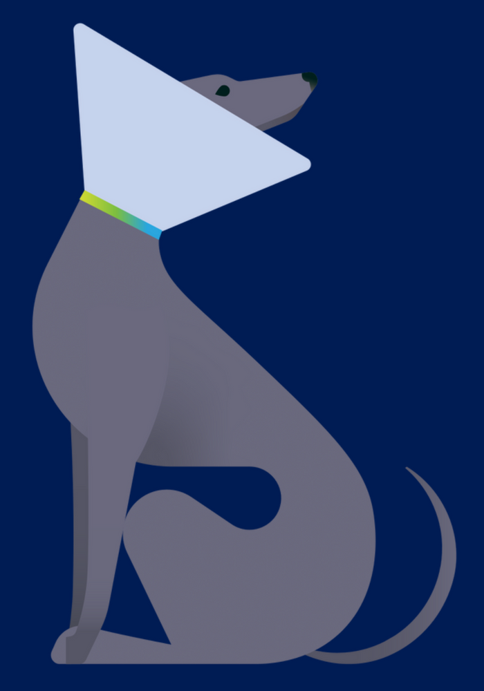 18 months on: Granta Veterinary Specialists and the power of care without compromise