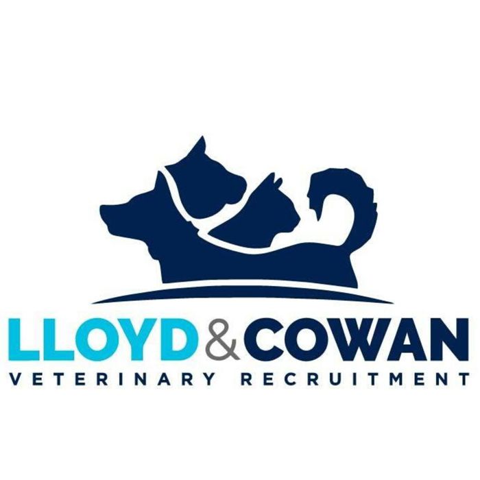 Lloyd & Cowan Veterinary Recruitment Set to Connect Talent at London Vet Show 2025