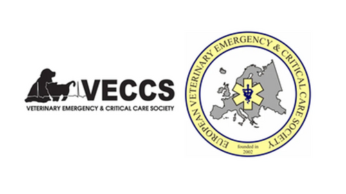 Hosted  by VECCS and EVECCS The international emergency and critical care stream returns to the association’s lecture series in Gallery Suite 11-12 on day 1 at the London Vet Show!