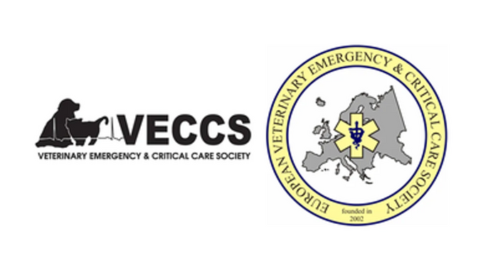 Hosted  by VECCS and EVECCS The international emergency and critical care stream returns to the association’s lecture series in Gallery Suite 11-12 on day 1 at the London Vet Show!