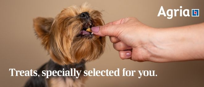 Agria Pet Insurance launches new Vet Rewards programme to partnered veterinary teams 