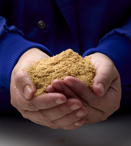 MiAlgae to showcase sustainable Omega 3s at The London Vet Show, Stand B31, with exciting iPad giveaway