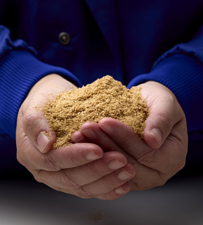 MiAlgae to showcase sustainable Omega 3s at The London Vet Show, Stand B31, with exciting iPad giveaway