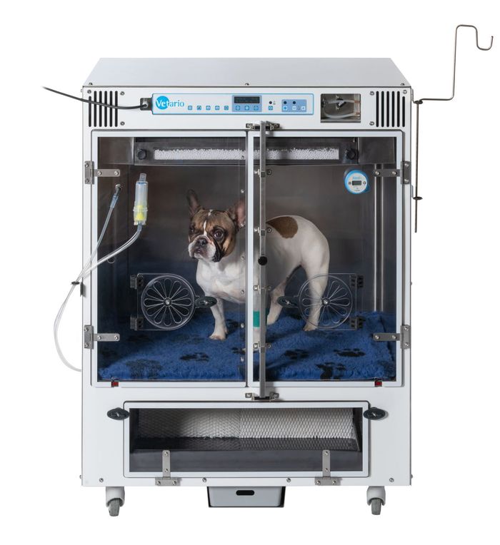 Vetario Unveils the NEW V60M Intensive Care Unit for Veterinary Critical Care