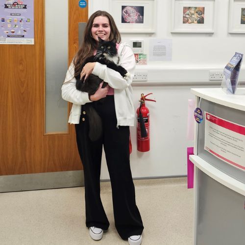 KRKA UK honours excellence in its Veterinary Reception Awards 2025