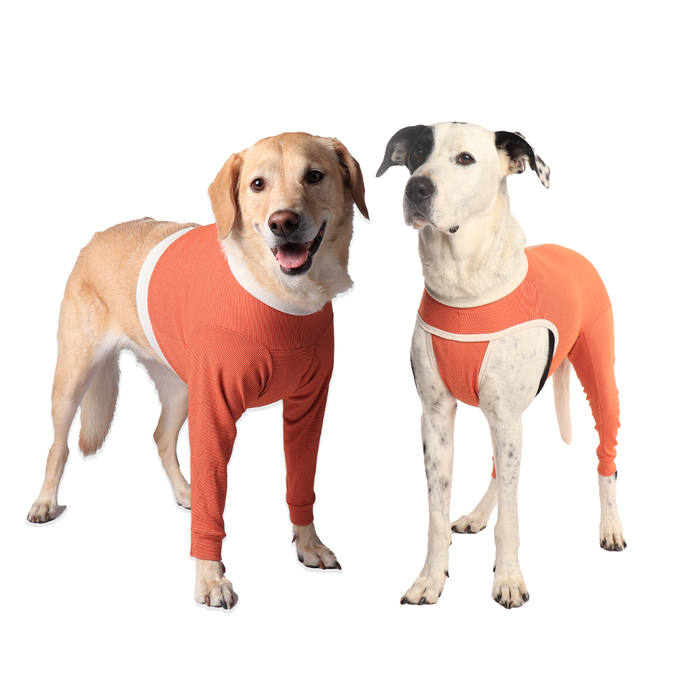 Luna & Milo continues redefining post-op recovery with the new limb-specific CopperBody® line for Front and Hind Legs