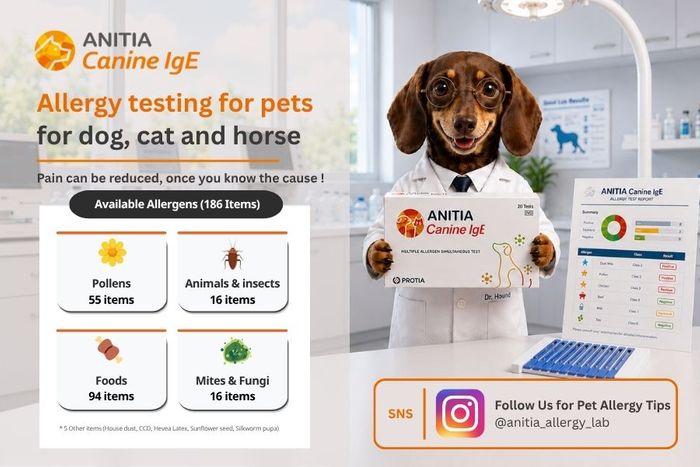 Allergen Testing for pets (up to 186 allergen)
