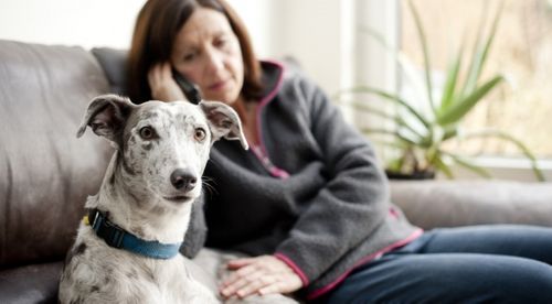Blue Cross launches new FREE Pet Loss Support Referral Toolkit for veterinary practices