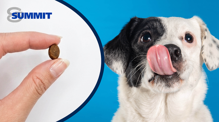Summit expands its offering with soft chew formulations