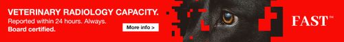 Fast-CT rewrites the rules of veterinary radiology: every report within 24 hours. Always.