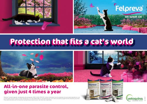 Felpreva® – Protection that fits a cat's world