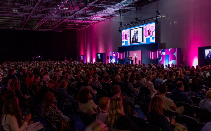 The 15th London Vet Show Rocks ExCeL with Record-Breaking Attendance and Unforgettable Moments