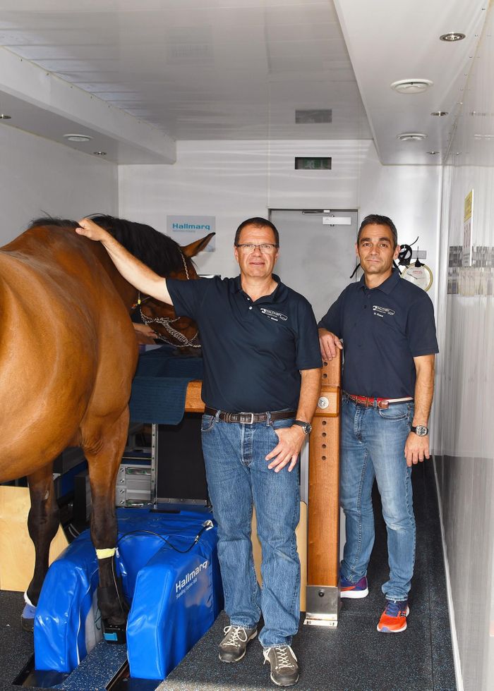 Above and beyond: over 100,000 horses scanned in over 100 Standing Equine MRI systems