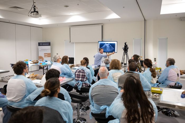 Wet Labs: Practical CPD at the heart of London Vet Show