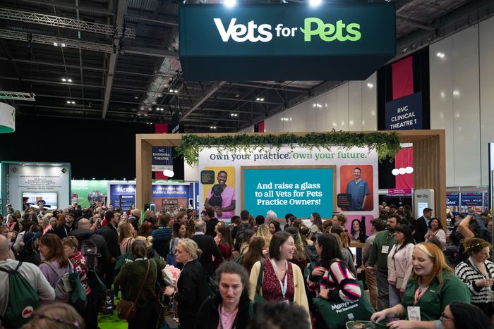 Hear from Vets for Pets Managing Director, Richard Dening-Smitherman
