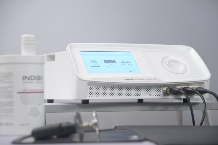 INDIBA' Animal Health, a new technology for an old problem