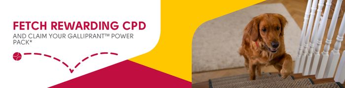 CPD Opportunity: Canine OA is how common in young dogs?