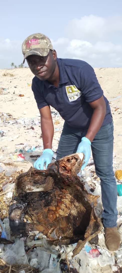Ghanaian wildlife vets visit London Vet Show thanks to Wildlife Vets International