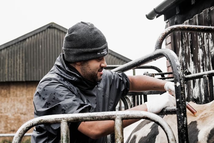 Meet David Charles - Class of 2022 and London Vet Show Speaker