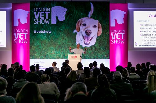 10 sessions you don’t want to miss at LVS!