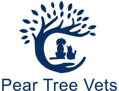 Where pets, people, and purpose meet: A New Practice Academy success story