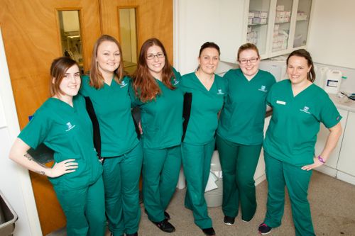 RVNs at LVS