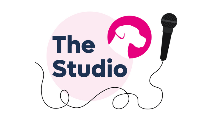 The Studio at the London Vet Show 2025: A New Platform for Discovery, Community and First-Time Voices