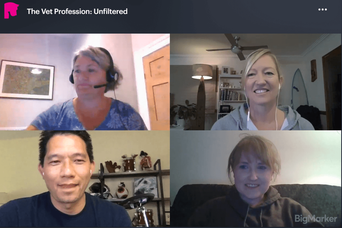 Review: Vet Show Global Series