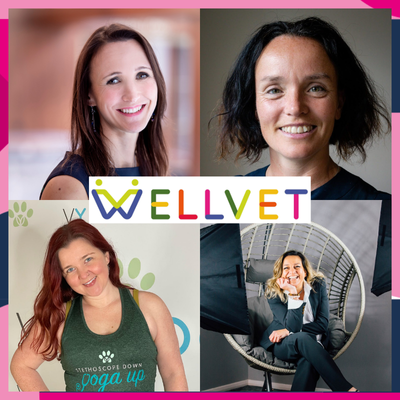 Free Menopause Resources Launched for Veterinary Teams