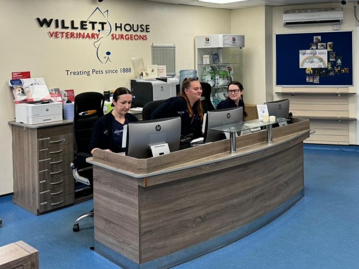 Willett House Veterinary Surgeons and Reed Veterinary Practice join the Kin Vet Community