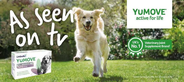 YuMOVE TV campaign launched to raise awareness of joint health in dogs