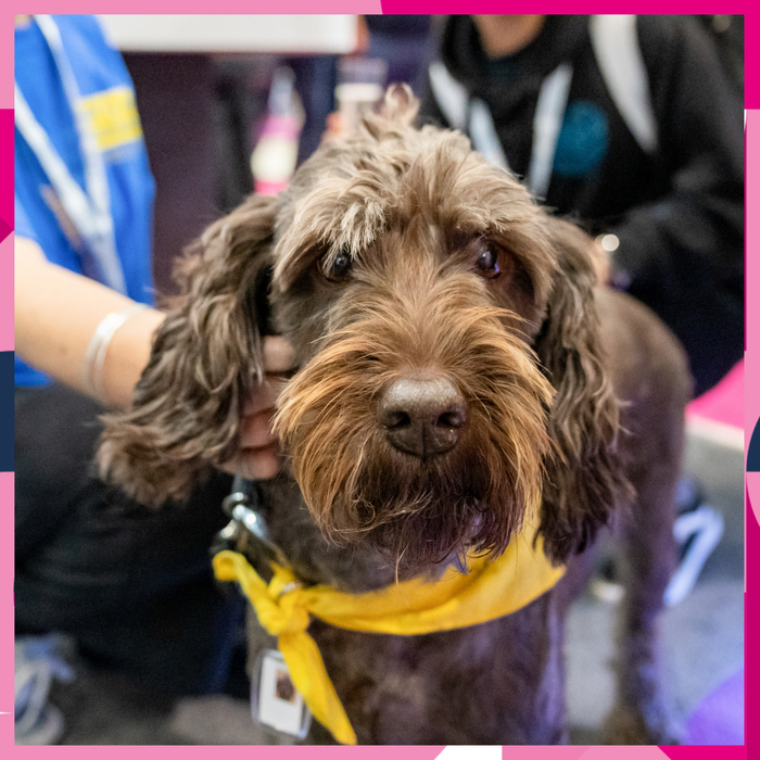 New Year, New Trends: What’s Ahead for the Veterinary Industry in 2025