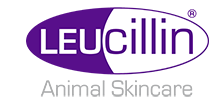 Leucillin the Ultimate Tool in Wound Bed Disinfection