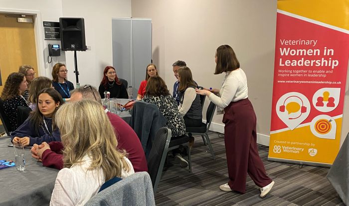 Exploring female entrepreneurship in the veterinary professions