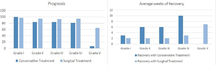 Prognosis and Treatment of Intervertebral Disc Herniation in dogs