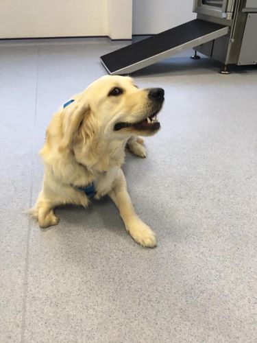Tudor Hydrotherapy Centre, Sheffield gives Lilly back her smile!