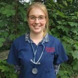 Thanks to effective vaccination Canine Distemper Virus (CVD) is now incredibly rare in the UK, but here is a recent case described by Rebecca Clayton BVetMed MRCVS, Westover Vets Ltd; as reminder to what look out for'