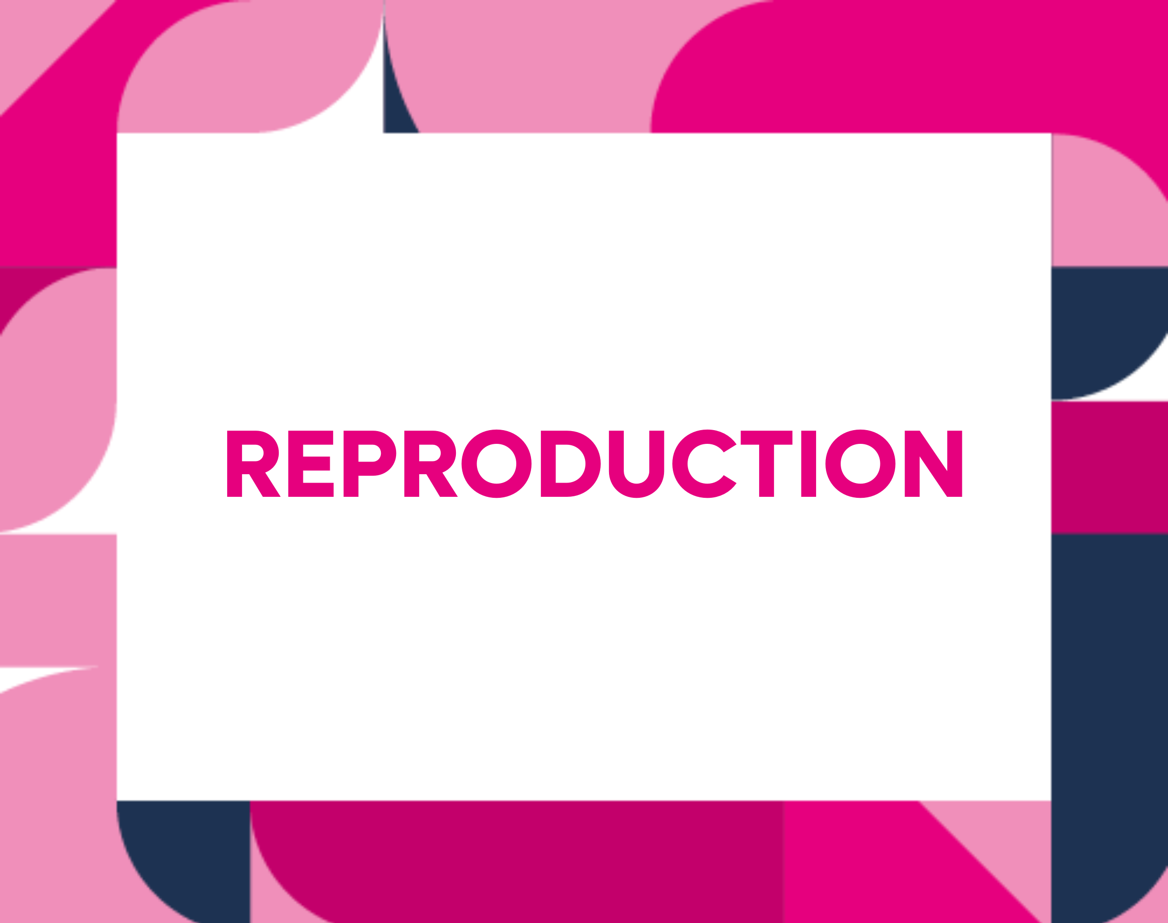  Reproduction