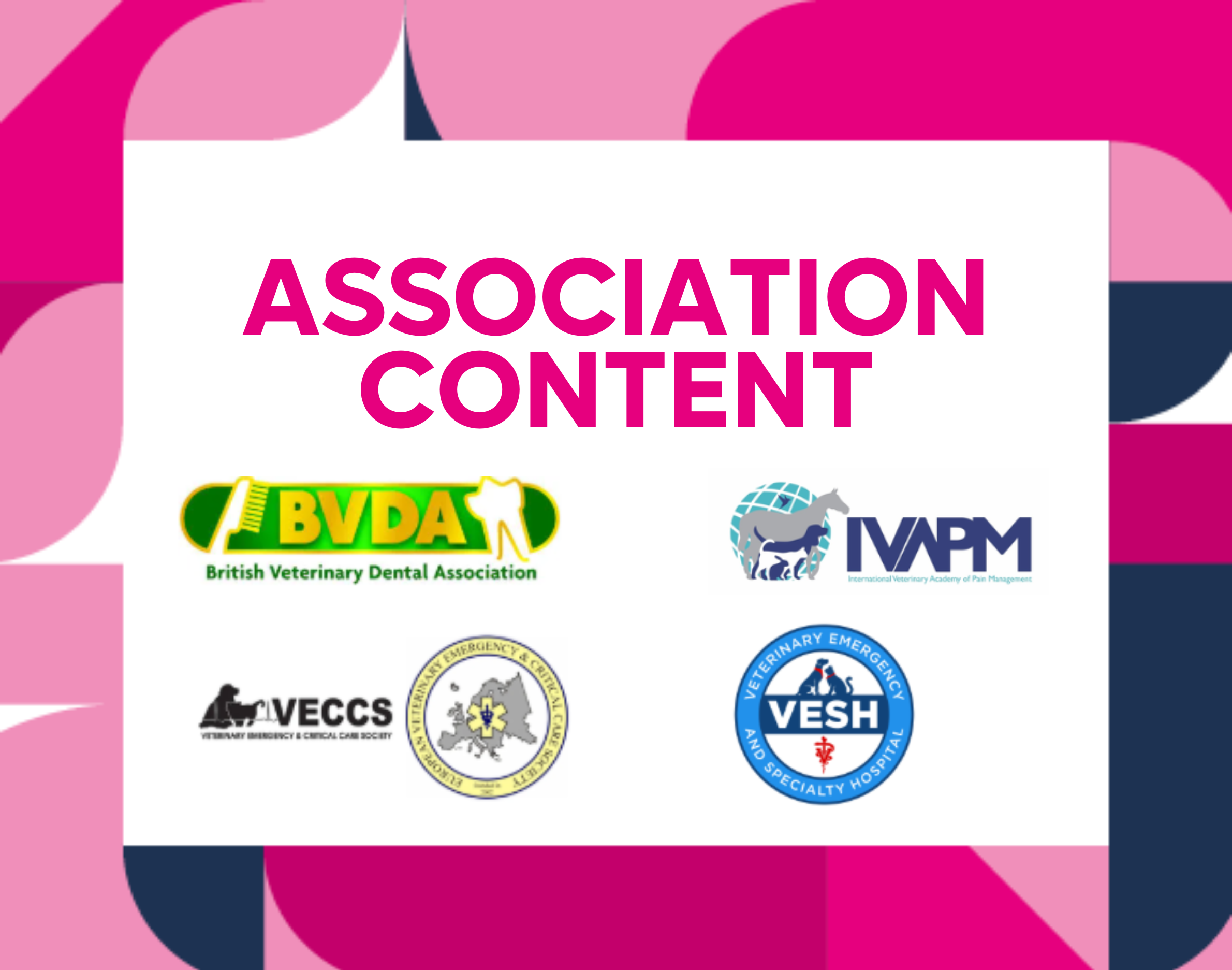 association content