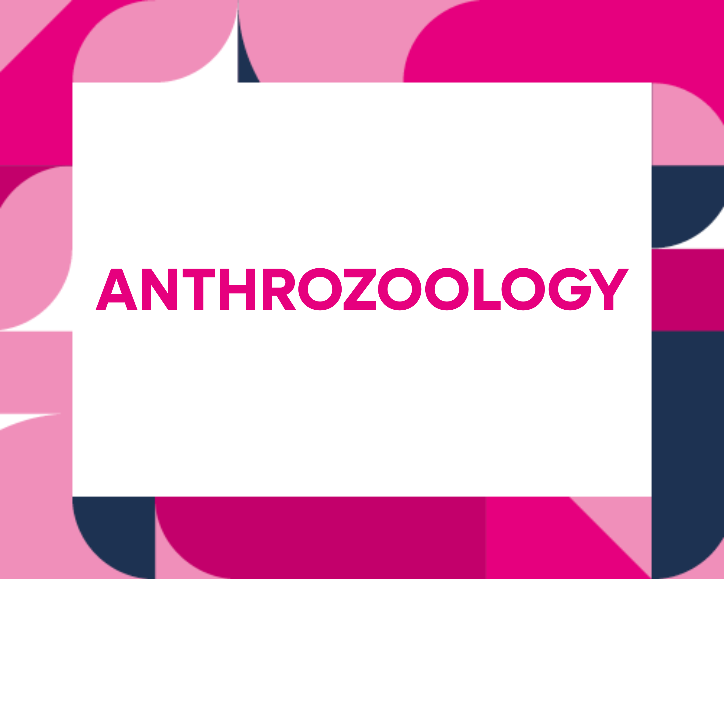 Anthrozoology