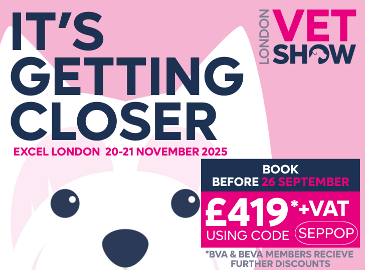 September offer