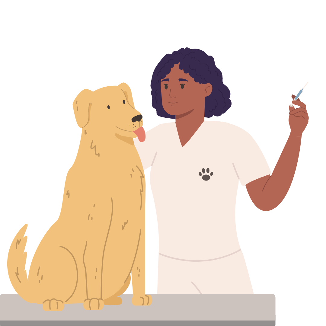 Vet with a golden retriever 