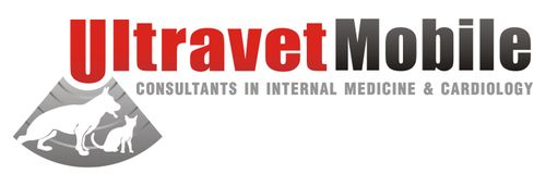Atlantic Coast New York Veterinary Specialists