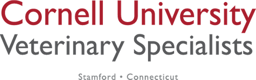 Cornell University Veterinary Specialists