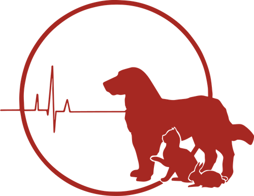 Central Hospital for Veterinary Medicine