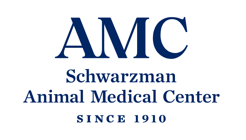 AMC