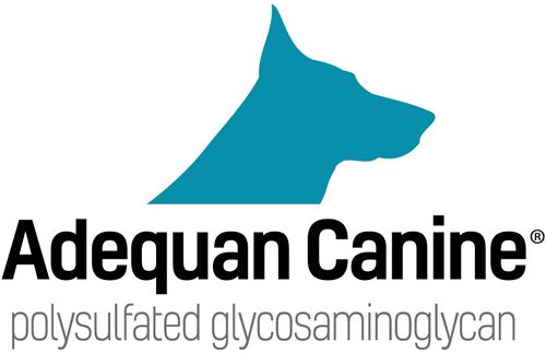 American Regent Animal Health