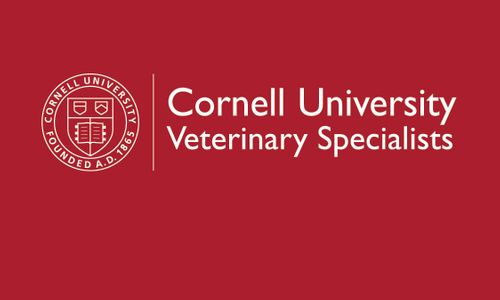 Cornell University Veterinary Specialists